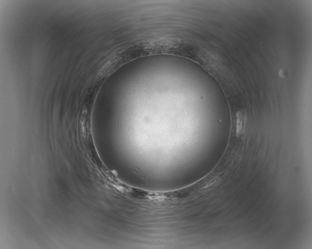 X0000080181059200612081355