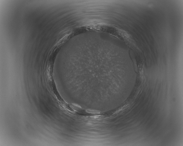 X0000080181060200612081355