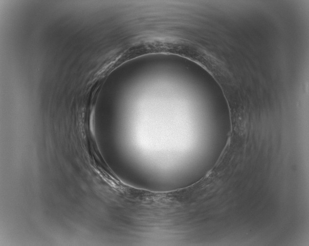 X0000080181061200612081355