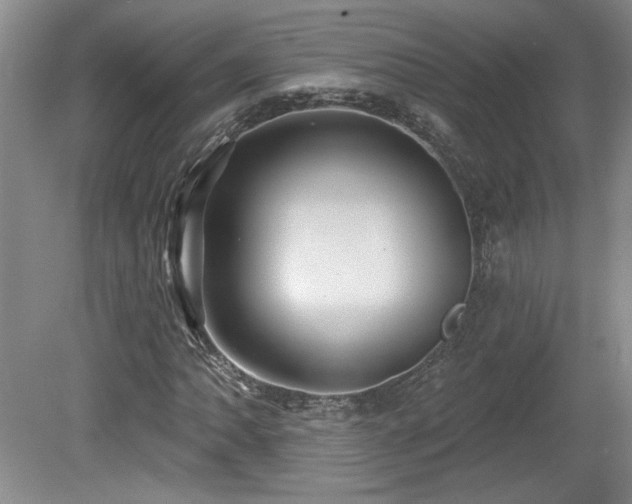 X0000080181062200612081355