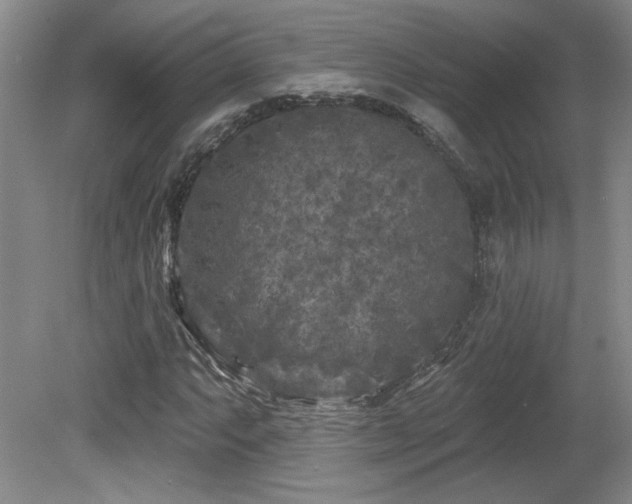 X0000080181063200612081355