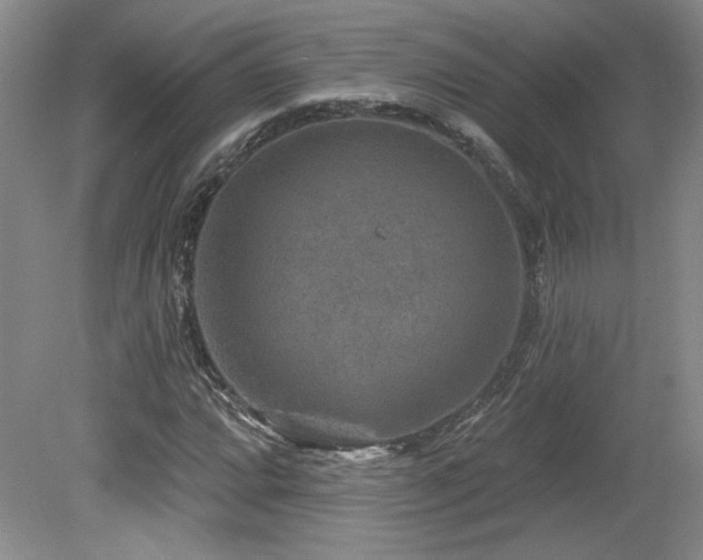 X0000080181064200612081355