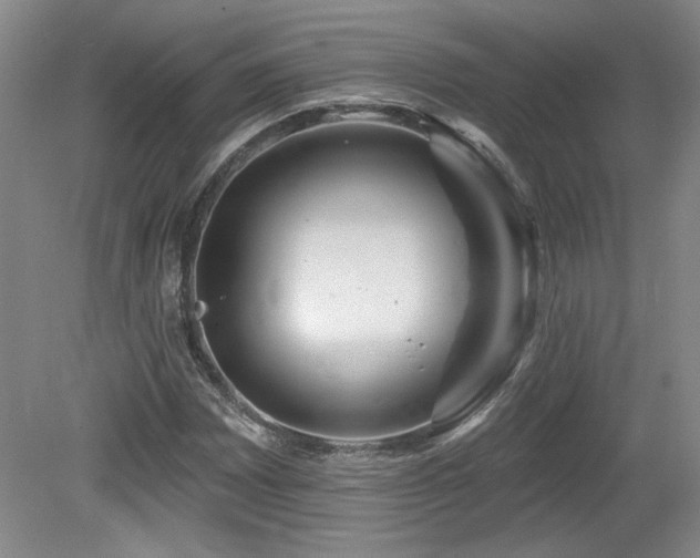 X0000080181065200612081355