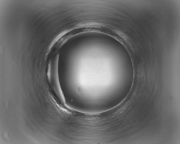 X0000080181066200612081355