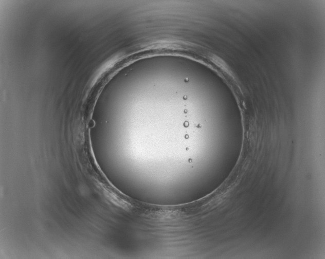 X0000080181067200612081355