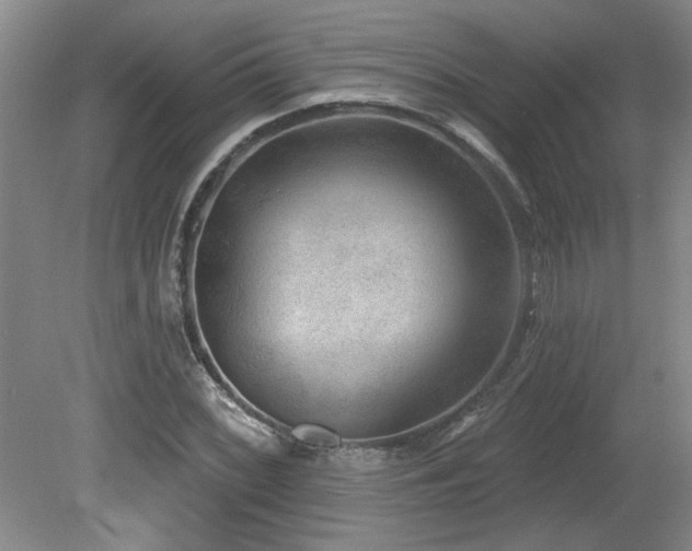 X0000080181068200612081355