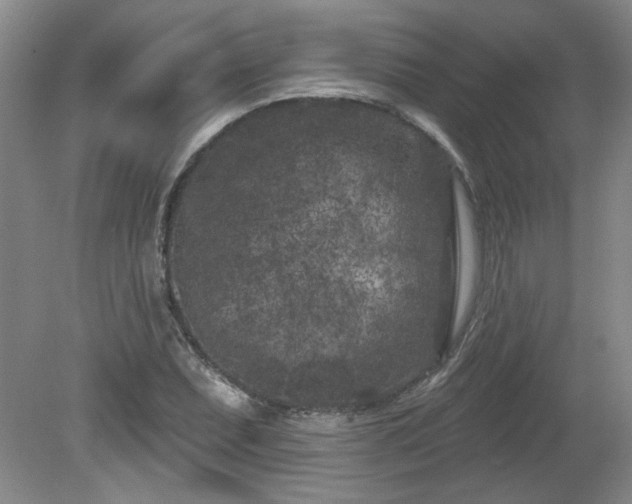 X0000080181071200612081355