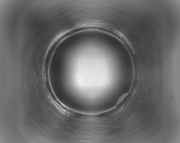 X0000080181072200612081355