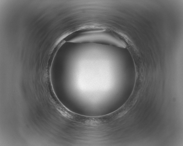 X0000080181073200612081355