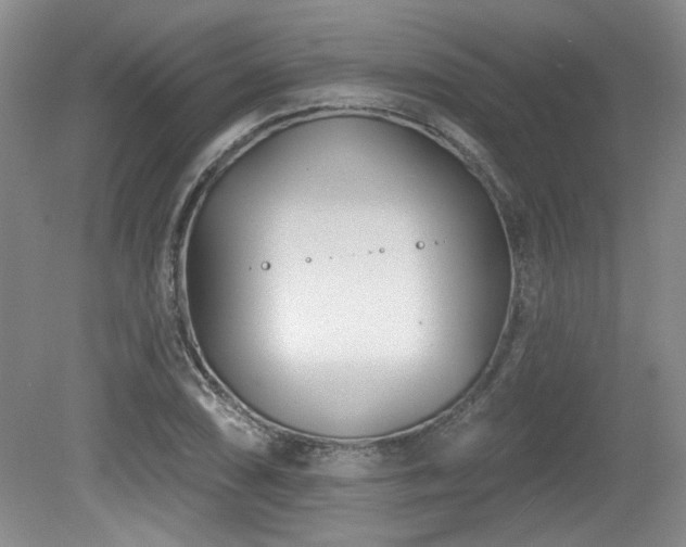 X0000080181074200612081355