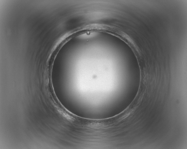 X0000080181075200612081355