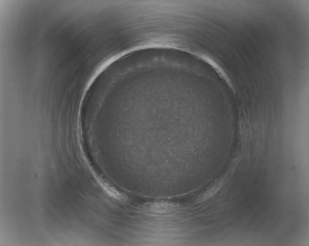 X0000080181077200612081355