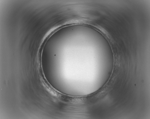 X0000080181078200612081355