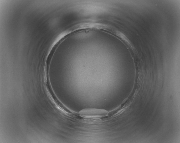 X0000080181079200612081355