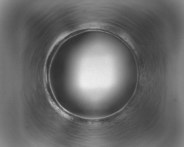 X0000080181080200612081355