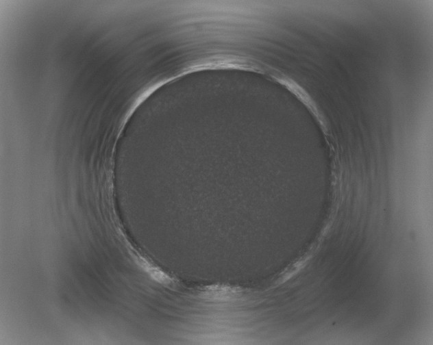 X0000080181081200612081355