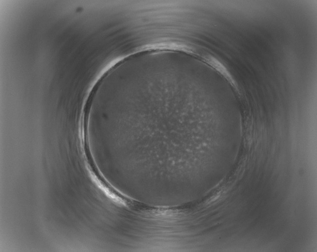 X0000080181084200612081355