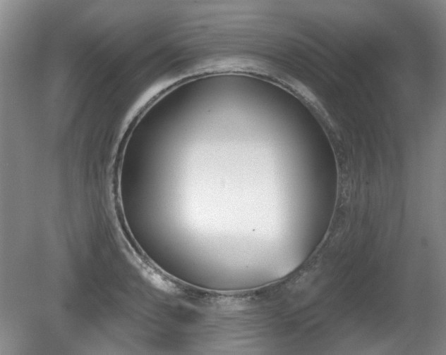 X0000080181086200612081355