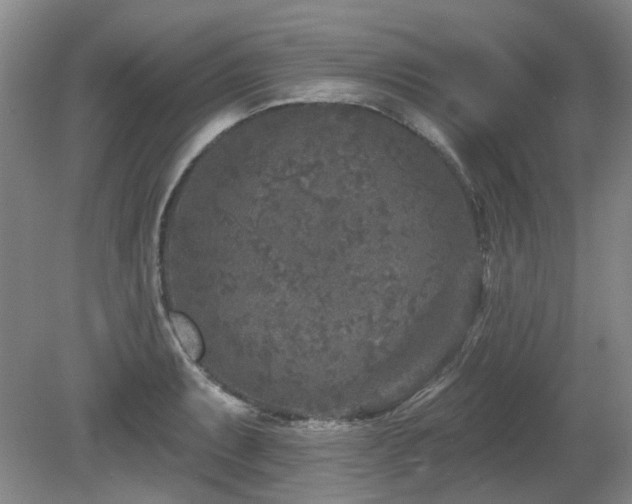 X0000080181087200612081355