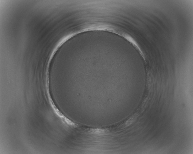 X0000080181088200612081355