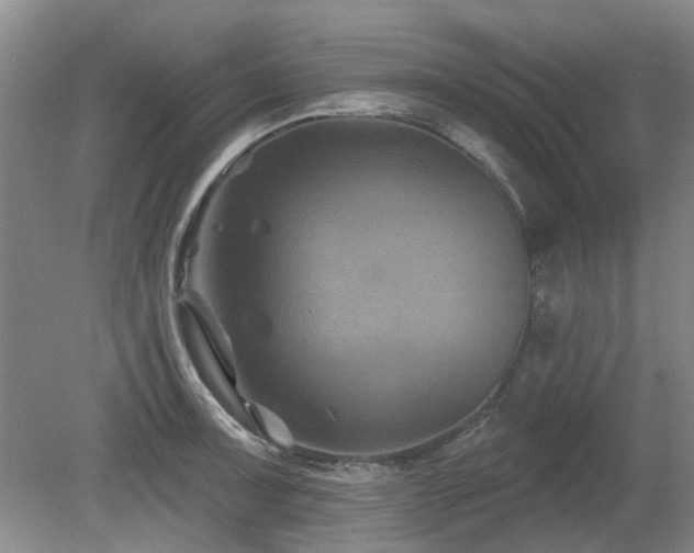 X0000080181091200612081355