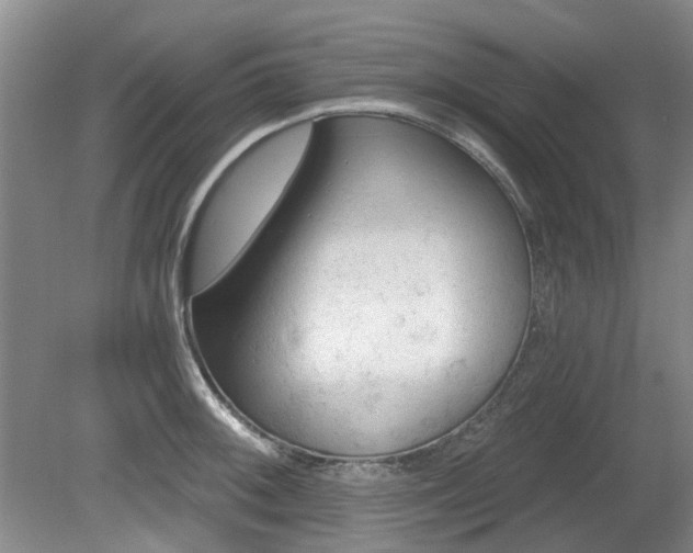 X0000080181092200612081355