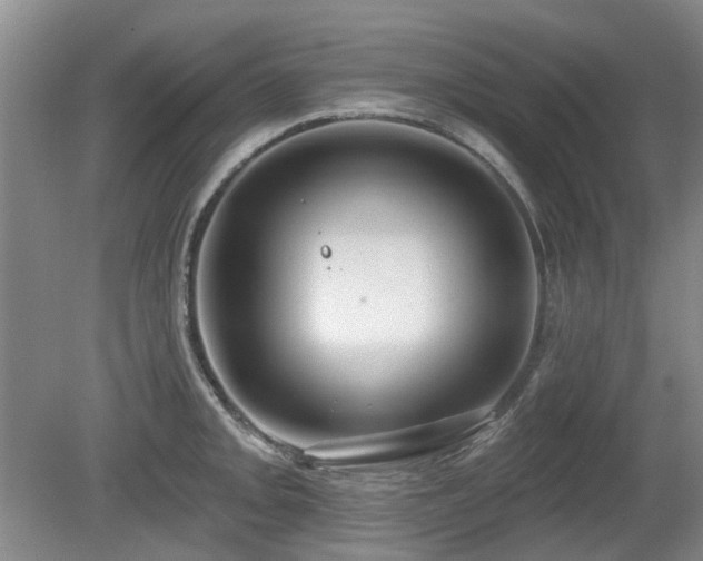 X0000080181093200612081355