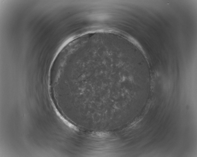 X0000080181095200612081355