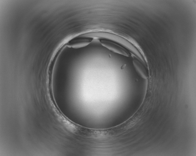 X0000080181096200612081355