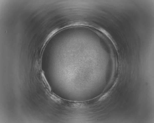 X0000080181097200612081355