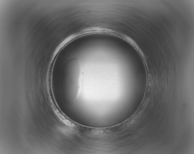 X0000080181098200612081355