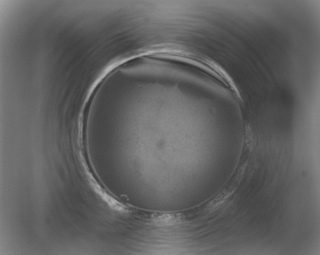 X0000080181099200612081355