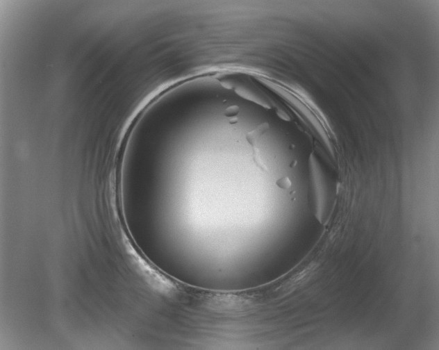 X0000080181100200612081354