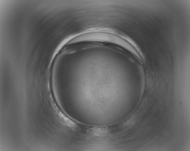 X0000080181102200612081354