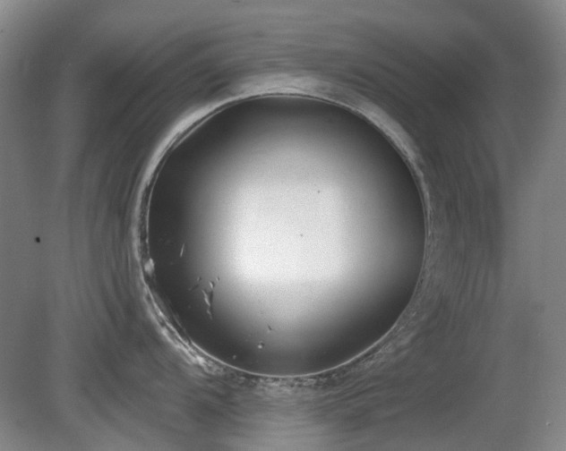 X0000080181104200612081354