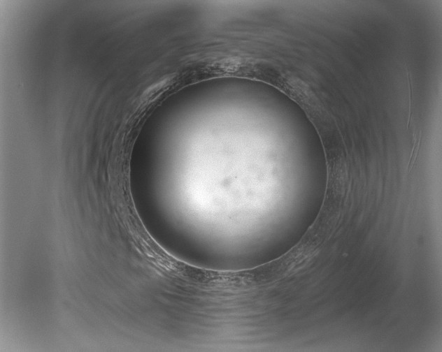 X0000080181105200612081354