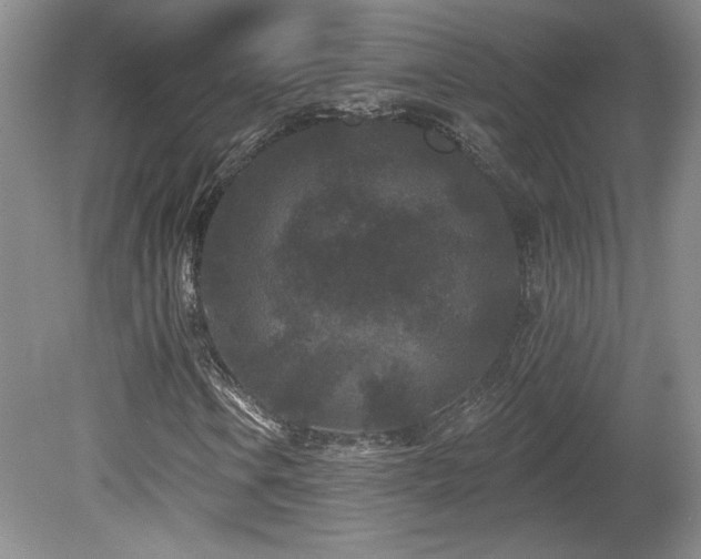 X0000080181106200612081354