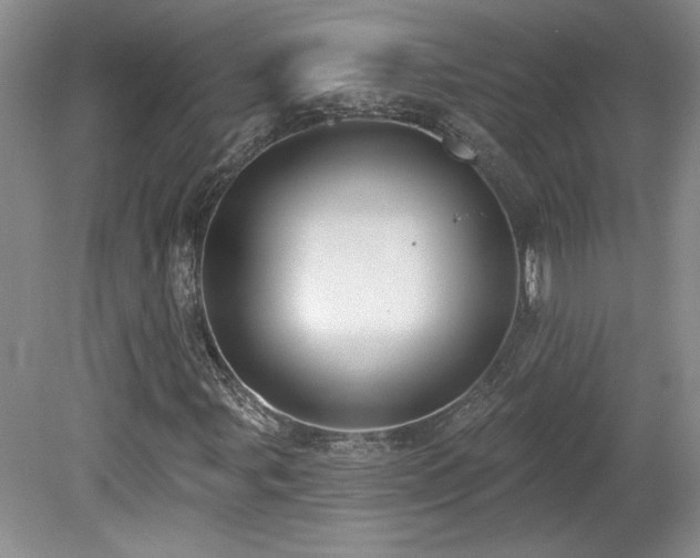 X0000080181107200612081354