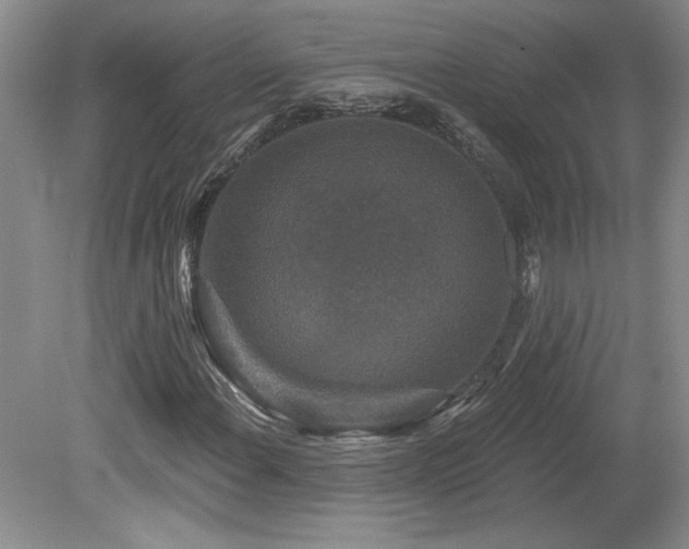 X0000080181108200612081354