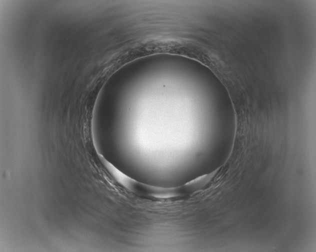 X0000080181109200612081354