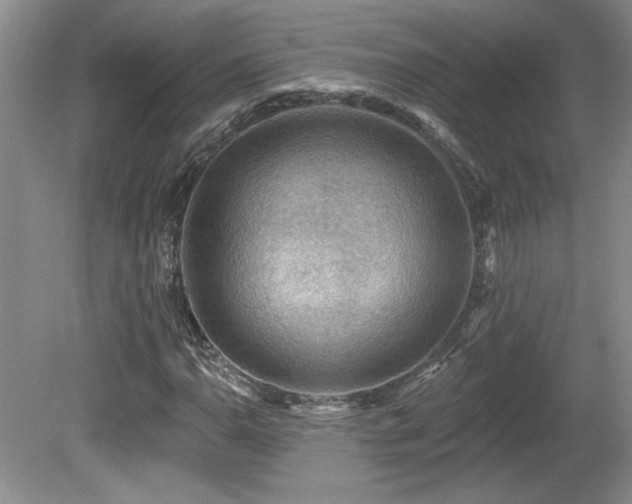 X0000080181110200612081354