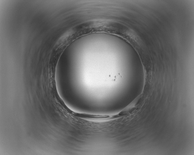 X0000080181111200612081354