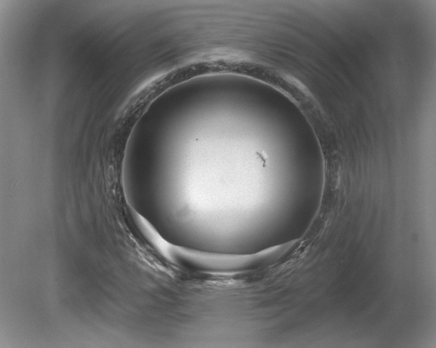 X0000080181112200612081354