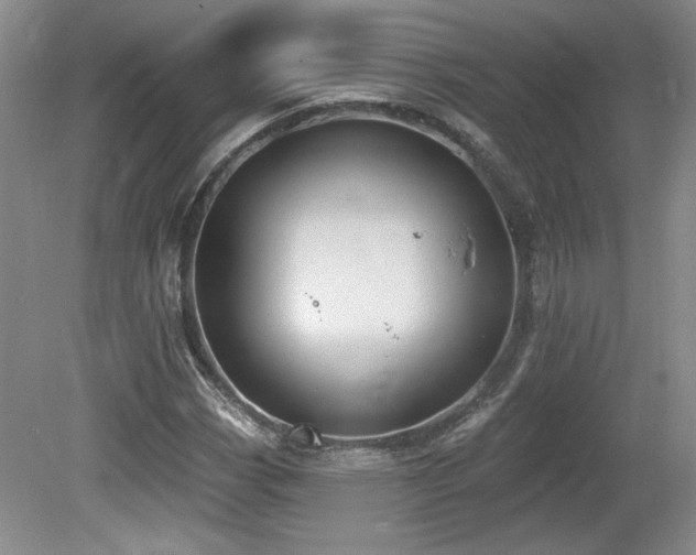 X0000080181113200612081354