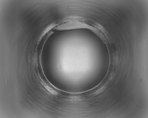 X0000080181114200612081354