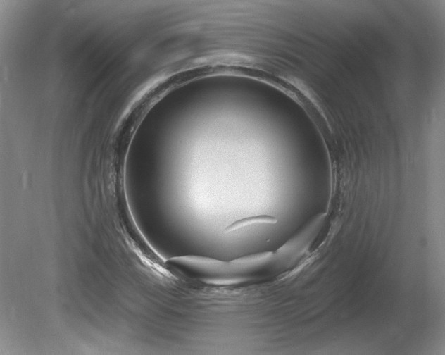 X0000080181115200612081354