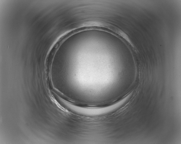 X0000080181116200612081354