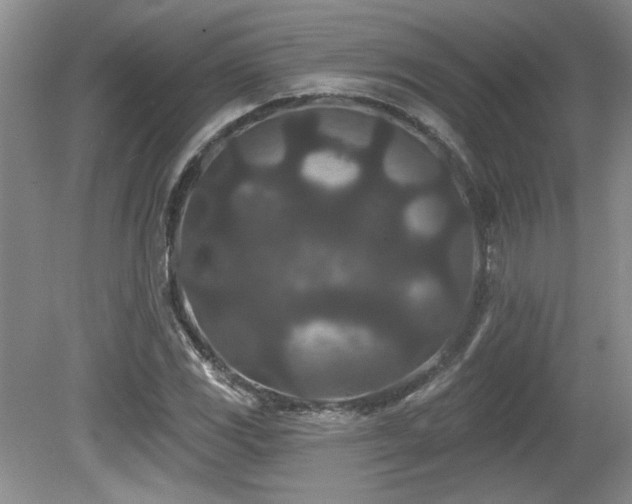 X0000080181117200612081354