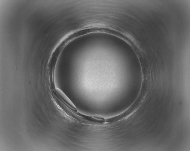 X0000080181118200612081354