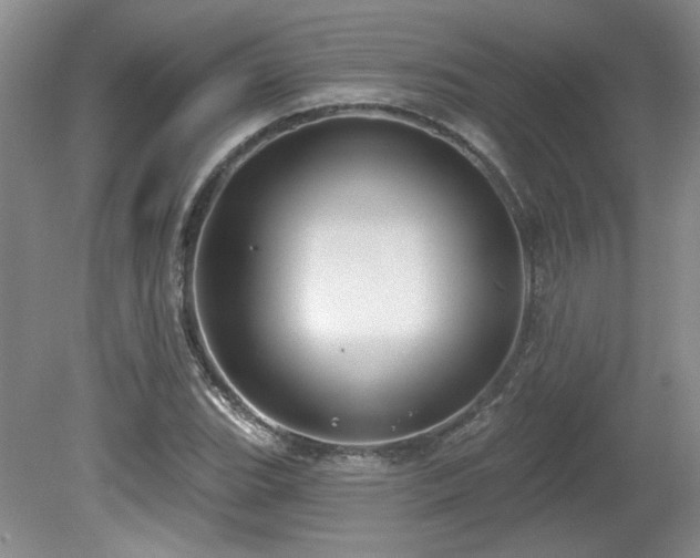 X0000080181119200612081354